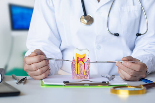 Best Knocked-Out Tooth Emergency  in Waterville, MN